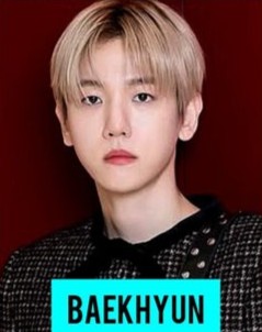 exo mem